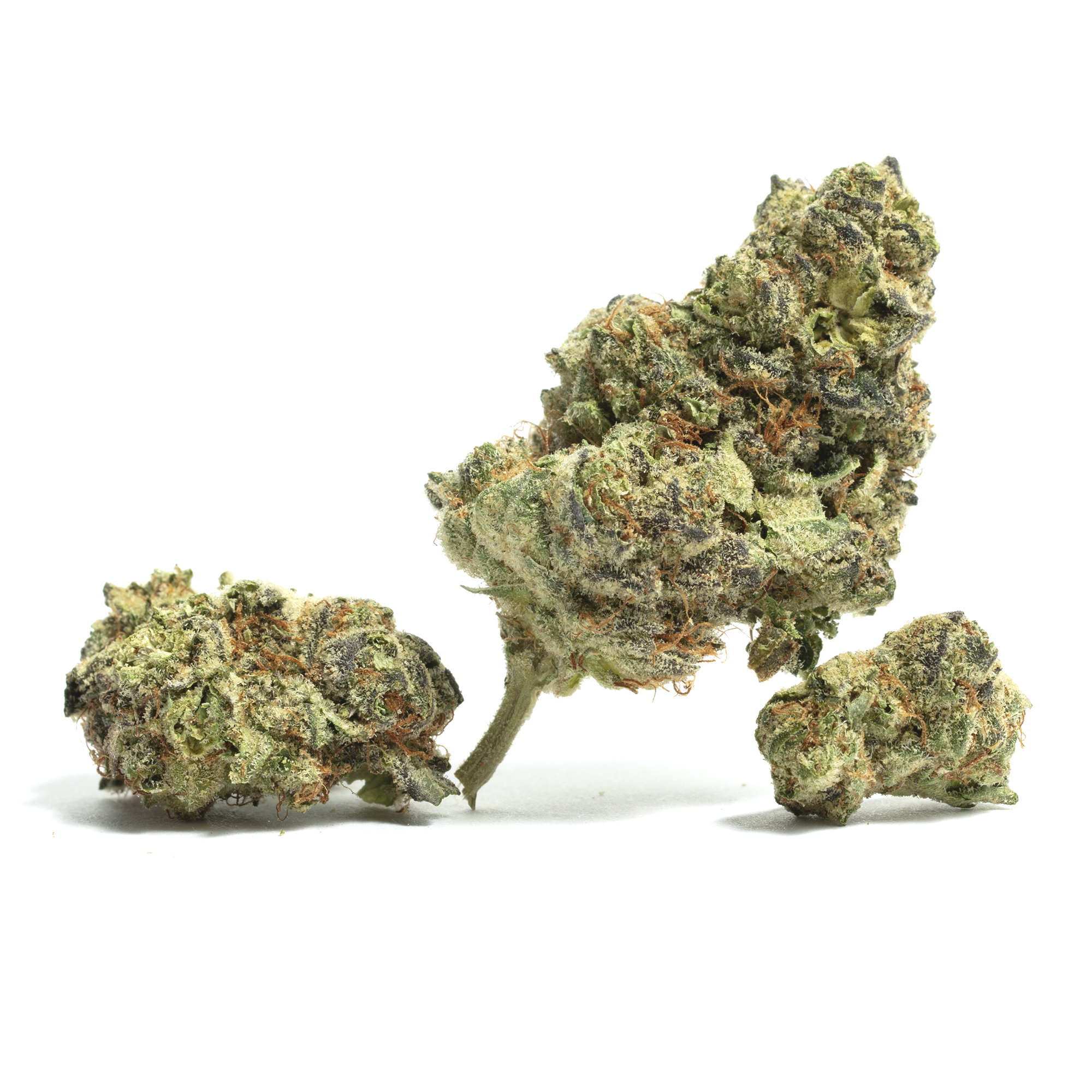White knuckles weed strain