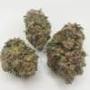 purple stardawg strain