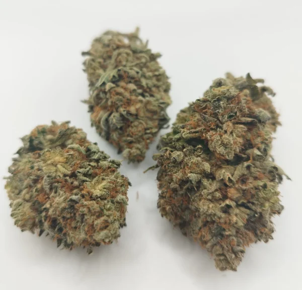 purple stardawg strain