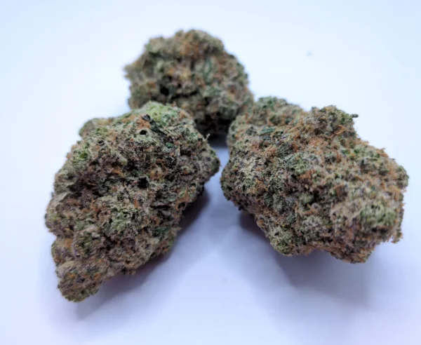 rs11 rainbow sherbet strain