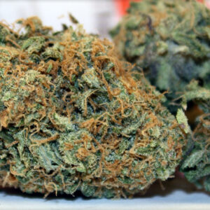 Thai stick weed strain