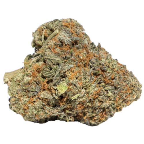 Thai stick weed strain