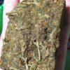Thai stick weed strain