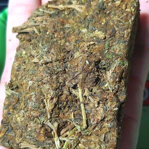 Thai stick weed strain