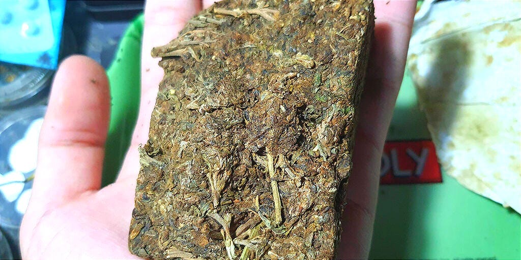 Thai stick weed strain